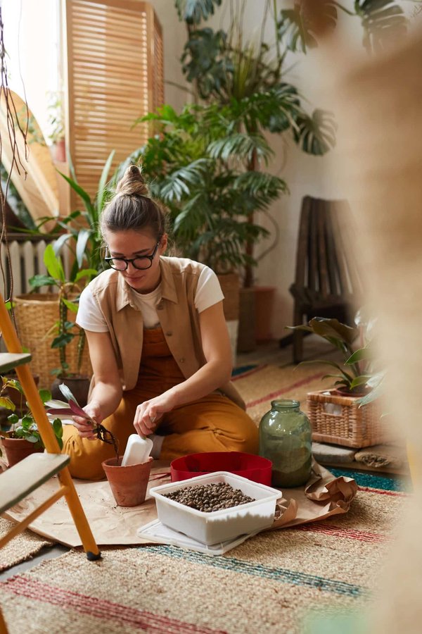 Comment prévenir et lutter contre les maladies et les parasites qui peuvent affecter vos plantes