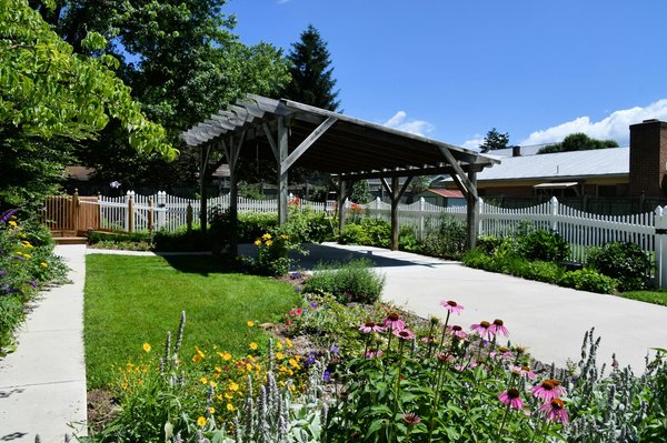 Carport en bois solaire : ce qu'il faut retenir avant de l'installer